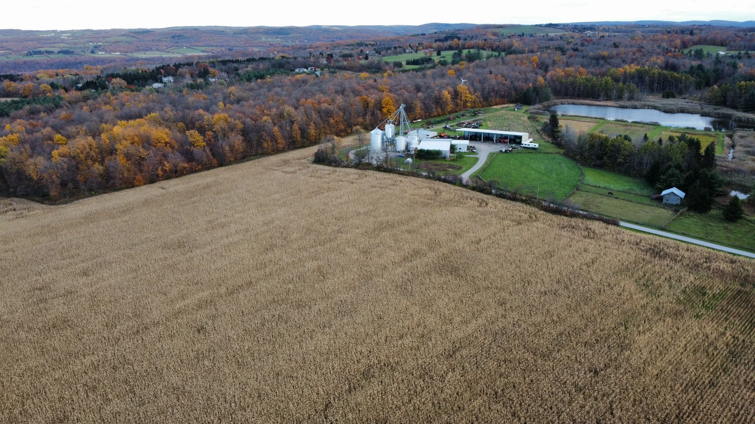 dji_fly_20241026_171214_793_1729977625046_photo_optimized.jpg