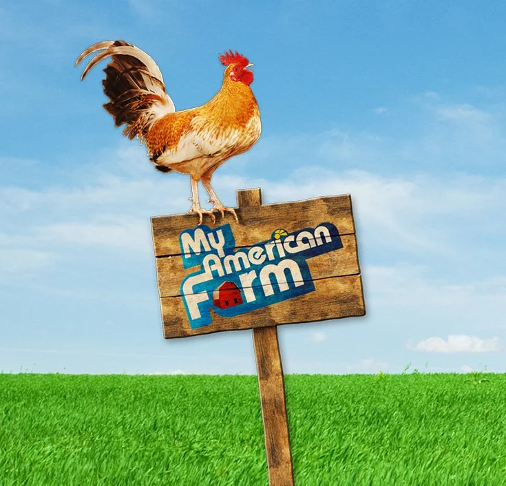 MY AMERICAN FARM