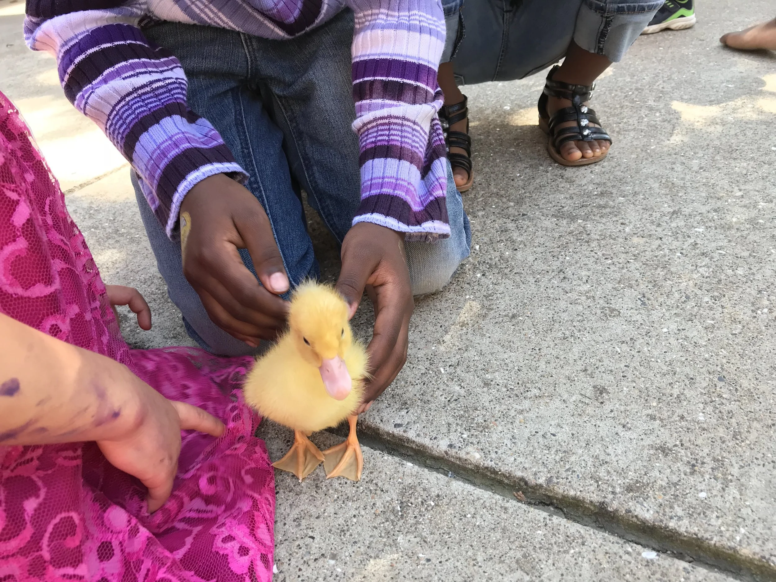 Tribe Happenings, March 30, 2018