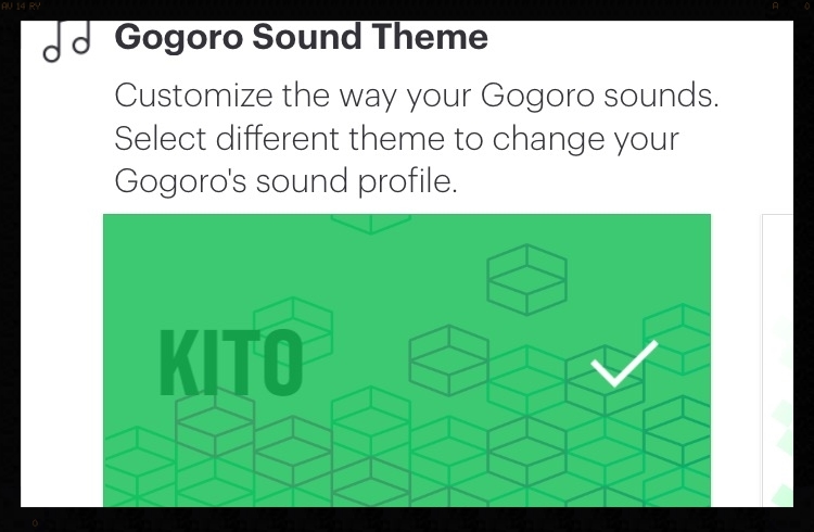 Gogoro_kito_chris_hubbard.jpg