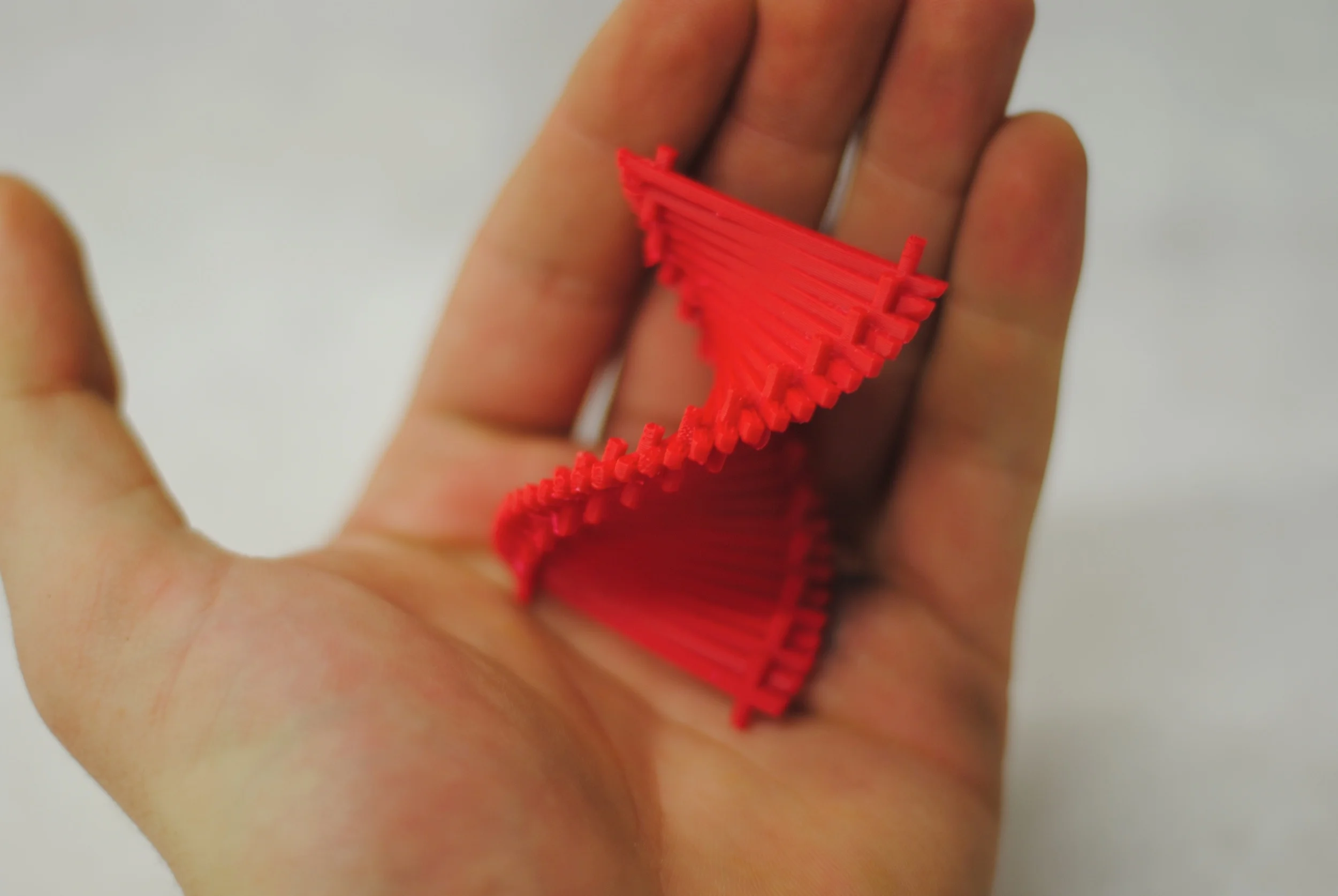 2012-12-02 11.45.31.jpg