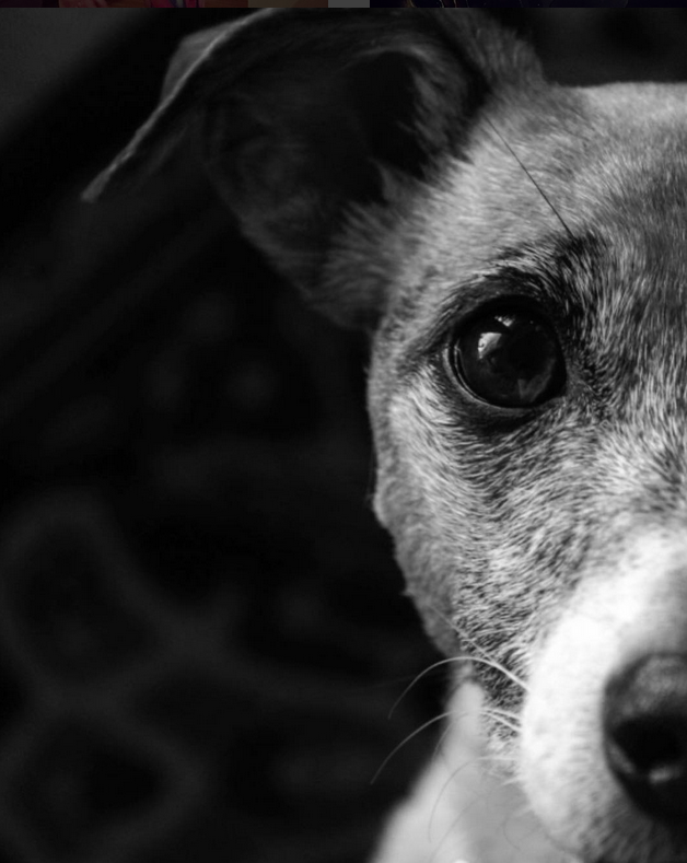 Screen Shot 2017-06-06 at 6.14.18 PM.png