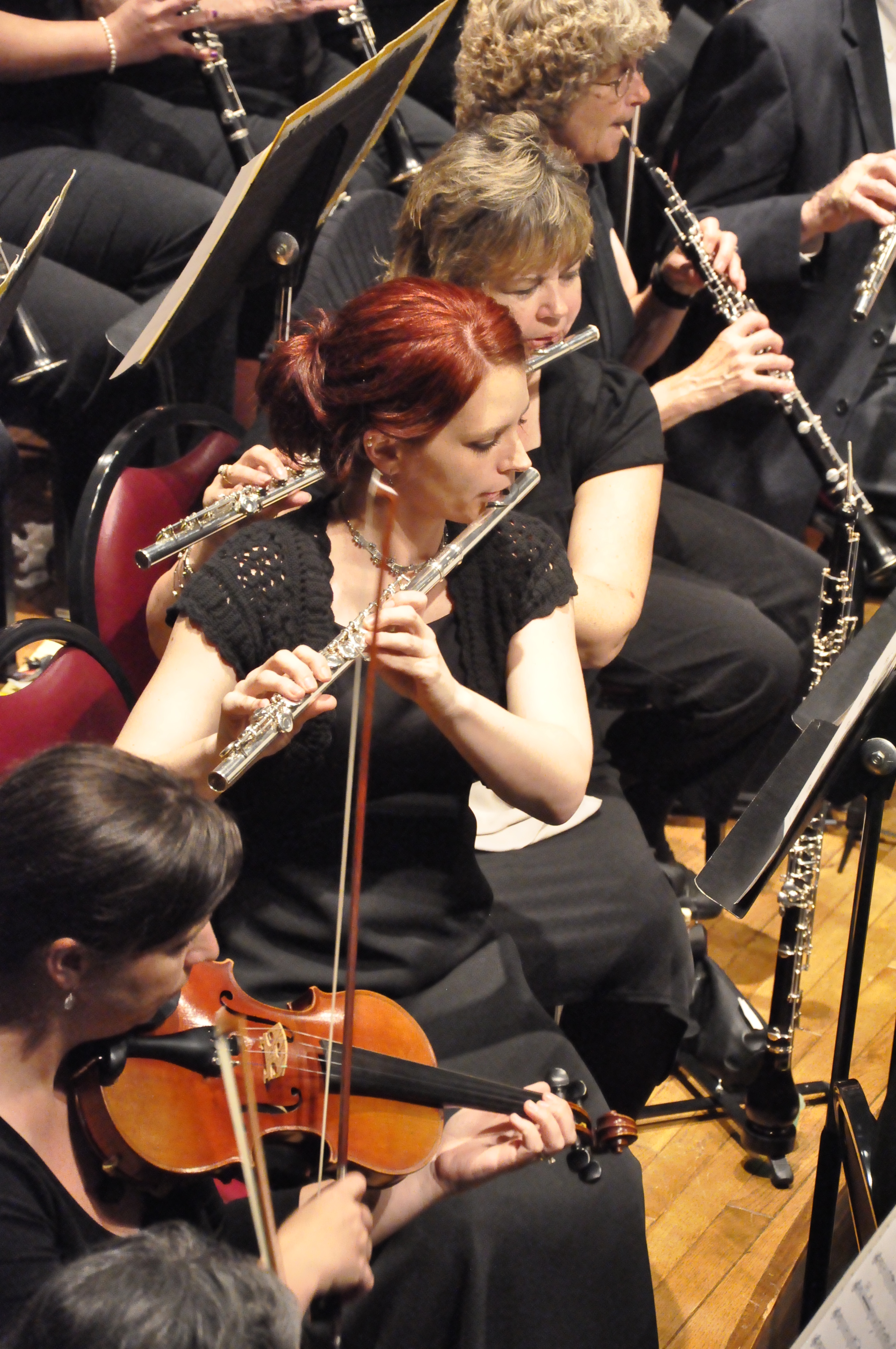 Dyersburg Community Orchestra concert