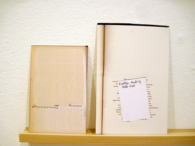 NHaselbacherBorrowed_Kdetail2.jpg