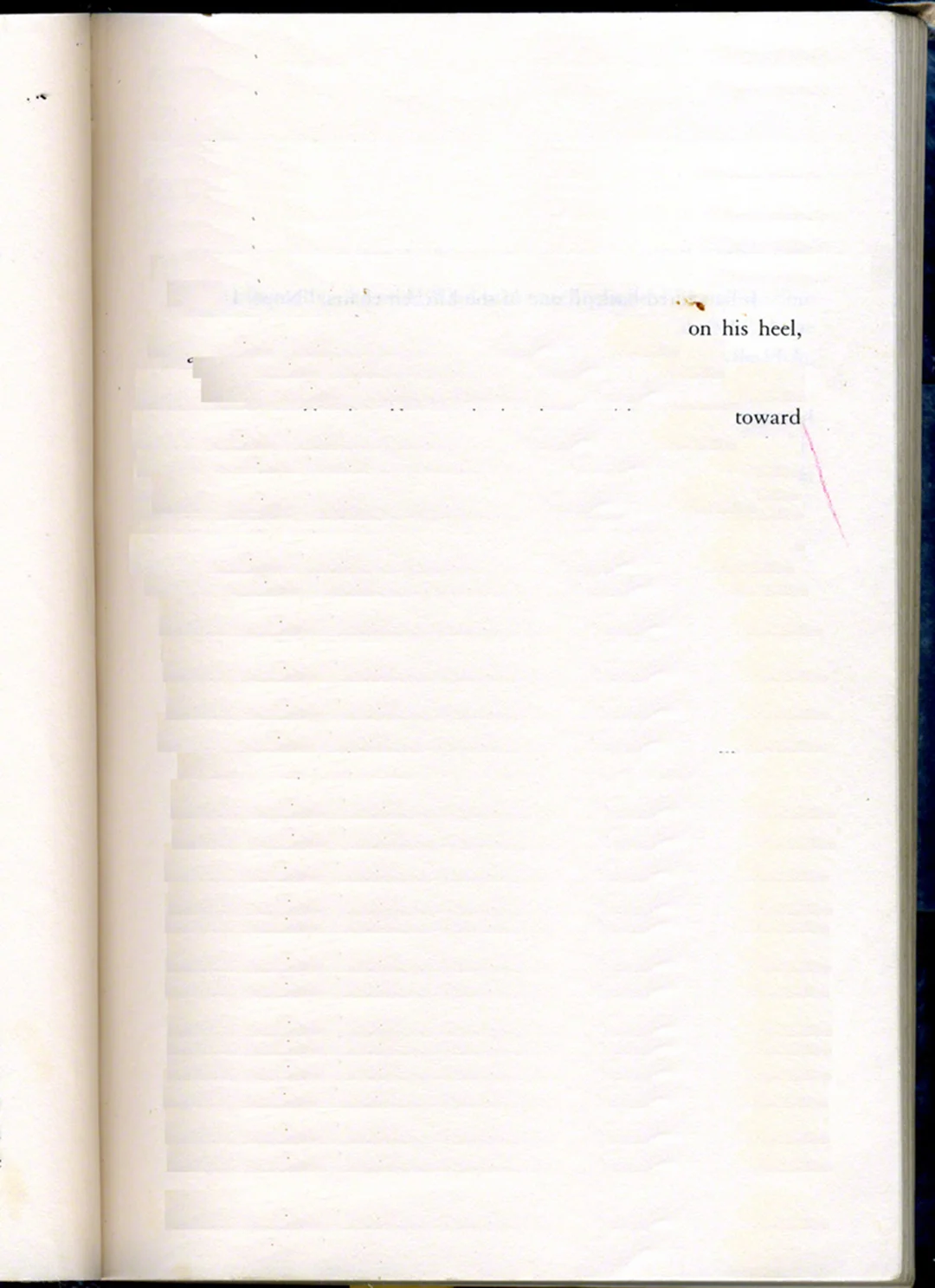 NHaselbacherBorrowed_Rdetail8.jpg