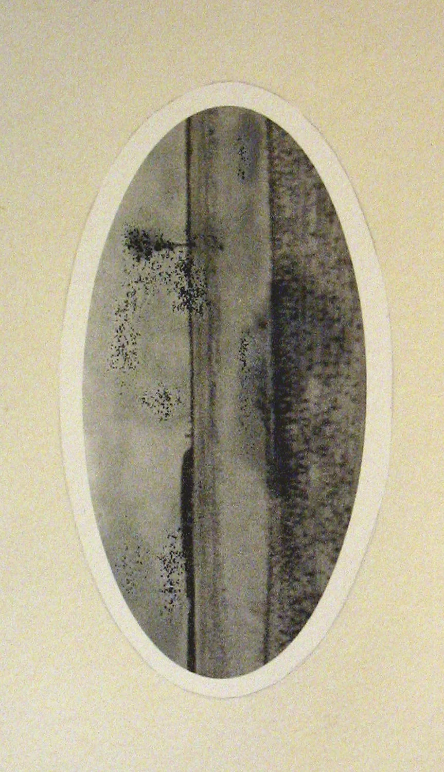 NHaselbacher_TH_detail3.jpg