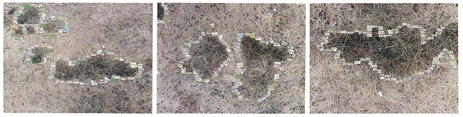 Town Totem: Pools in Kaui, photograph with collage, 30" x 8" Click details below to enlarge view.