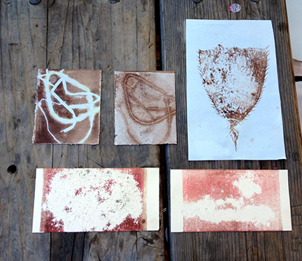 Prints of the session.