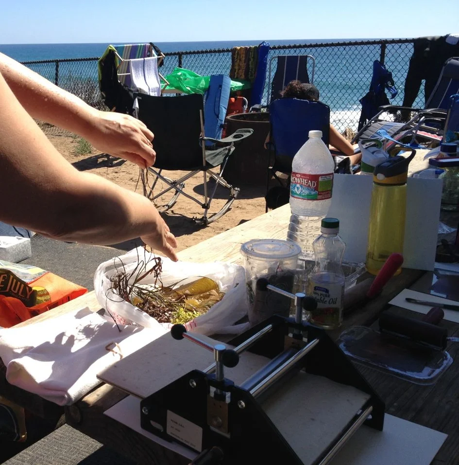 My picnic table printing set up and seaweed from my morning swim.