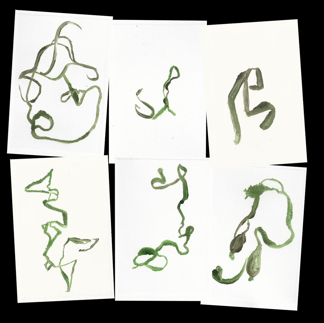 Seaweed monotypes