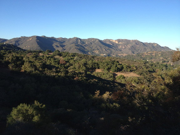 From the ridge. Looking lush until you look below the canopy.
