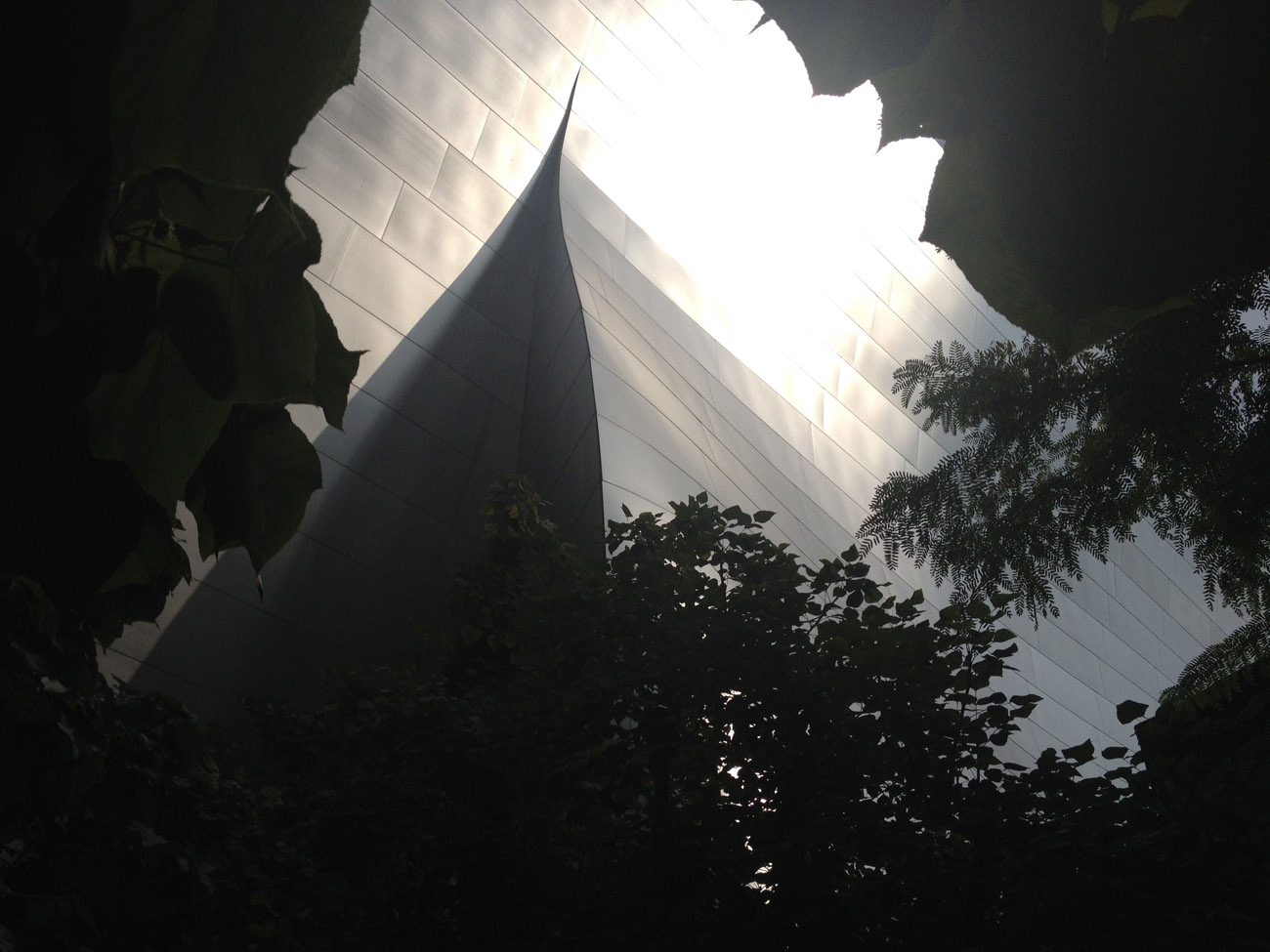In the garden on top of the Disney Hall
