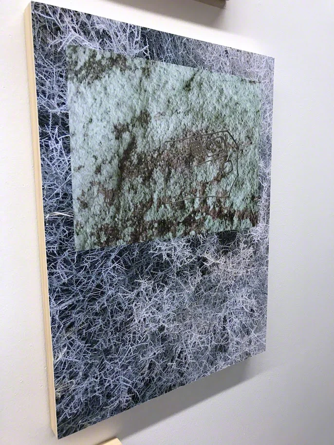 N_Haselbacher_TN_detail11.jpg
