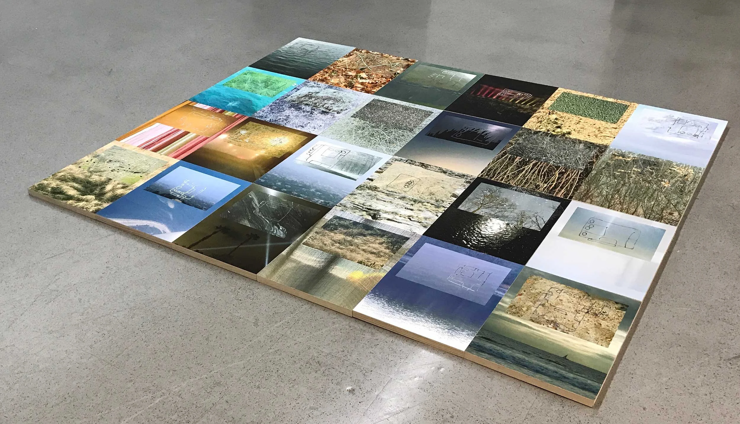 NHaselbacher_TN_floor.jpg