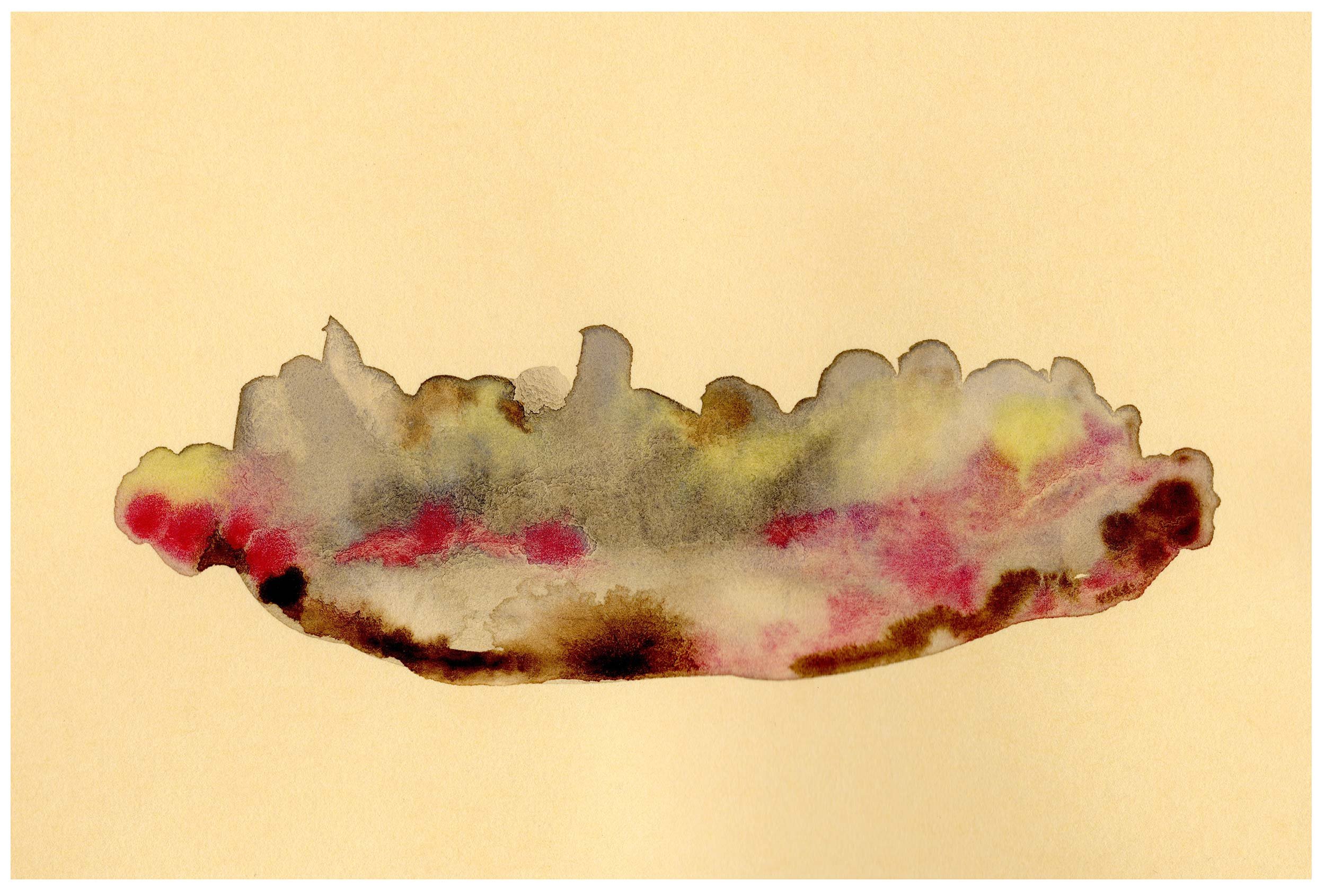 Coral No. 3