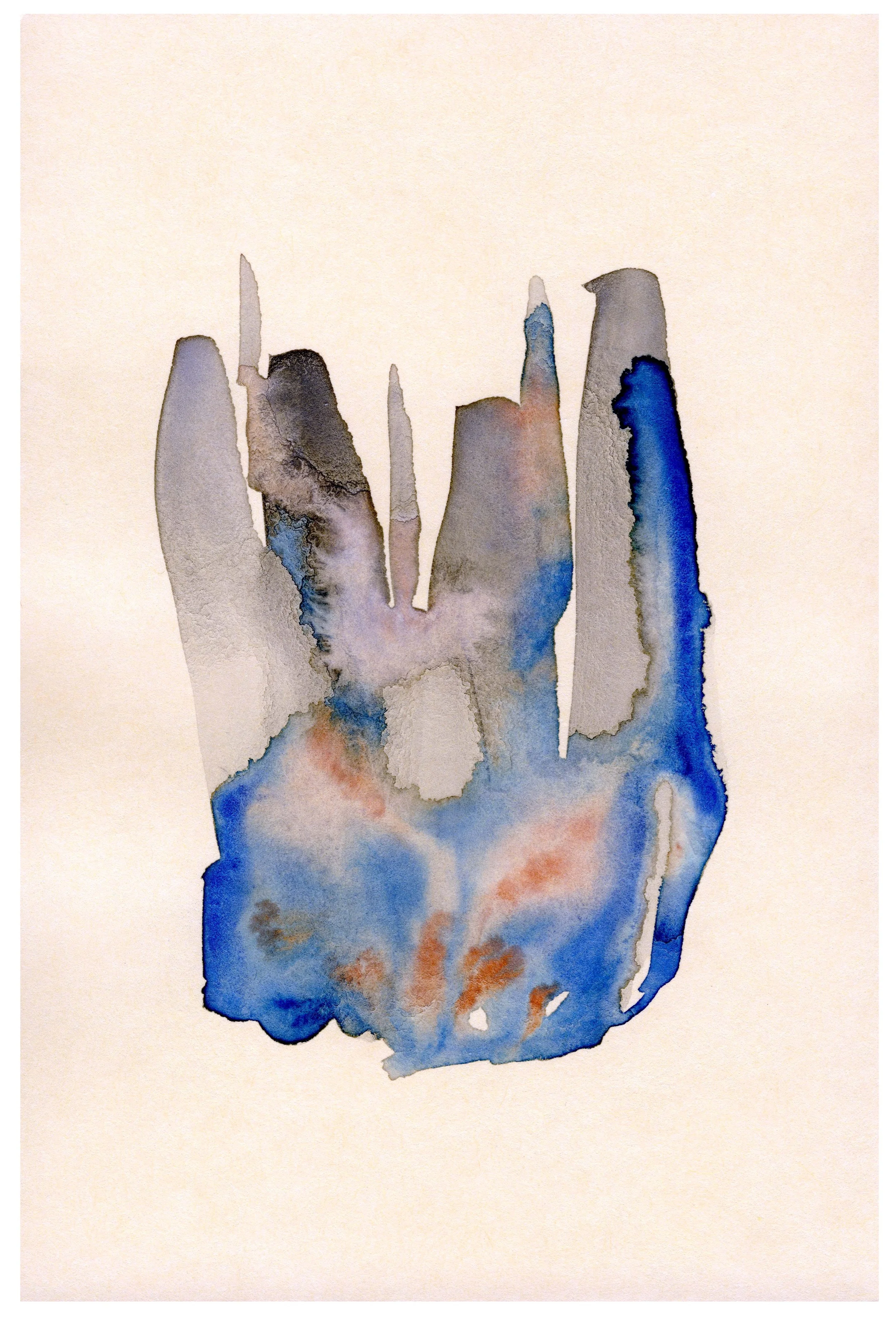 Coral No. 5