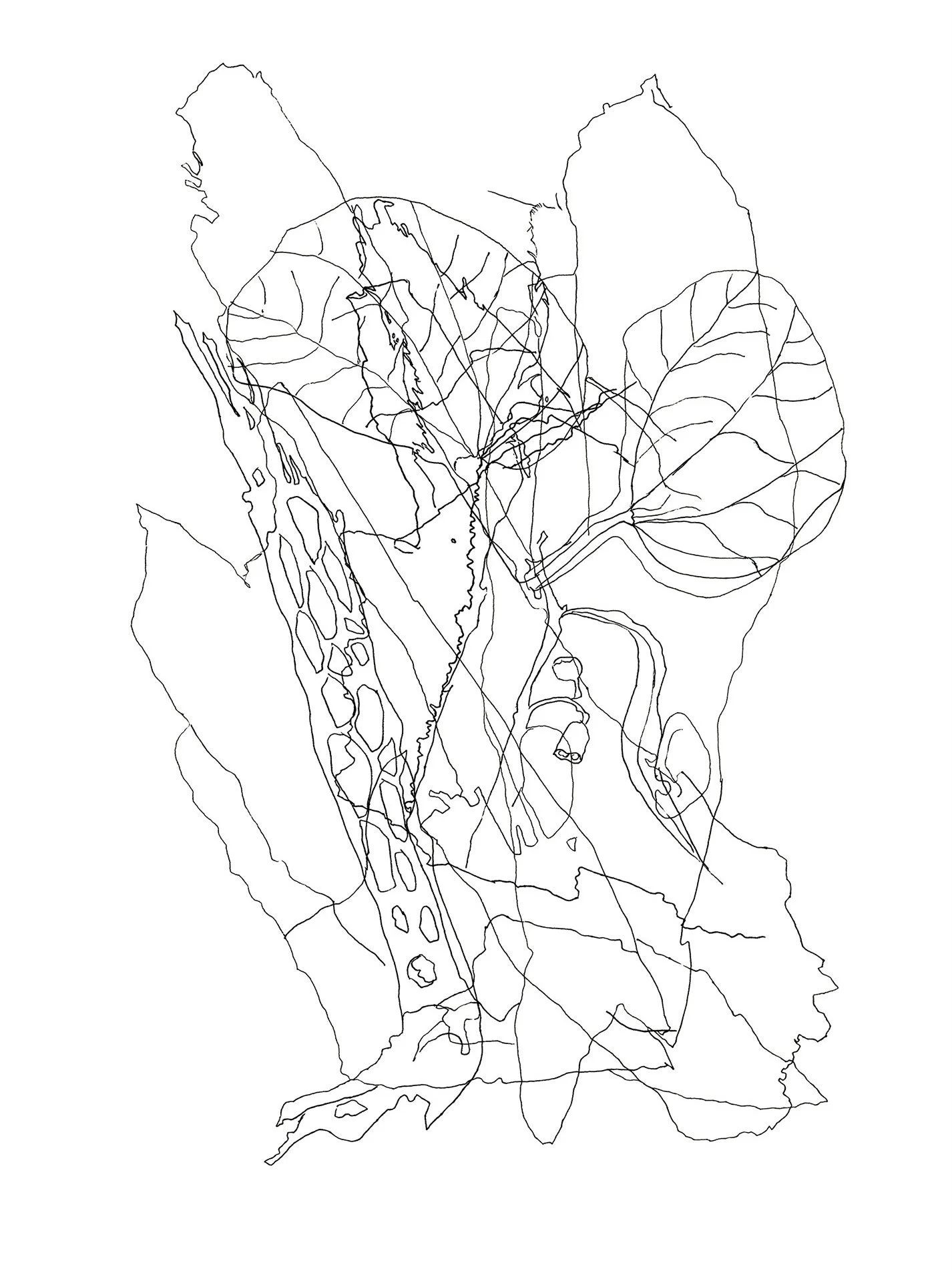 Elegant Earth No. 2