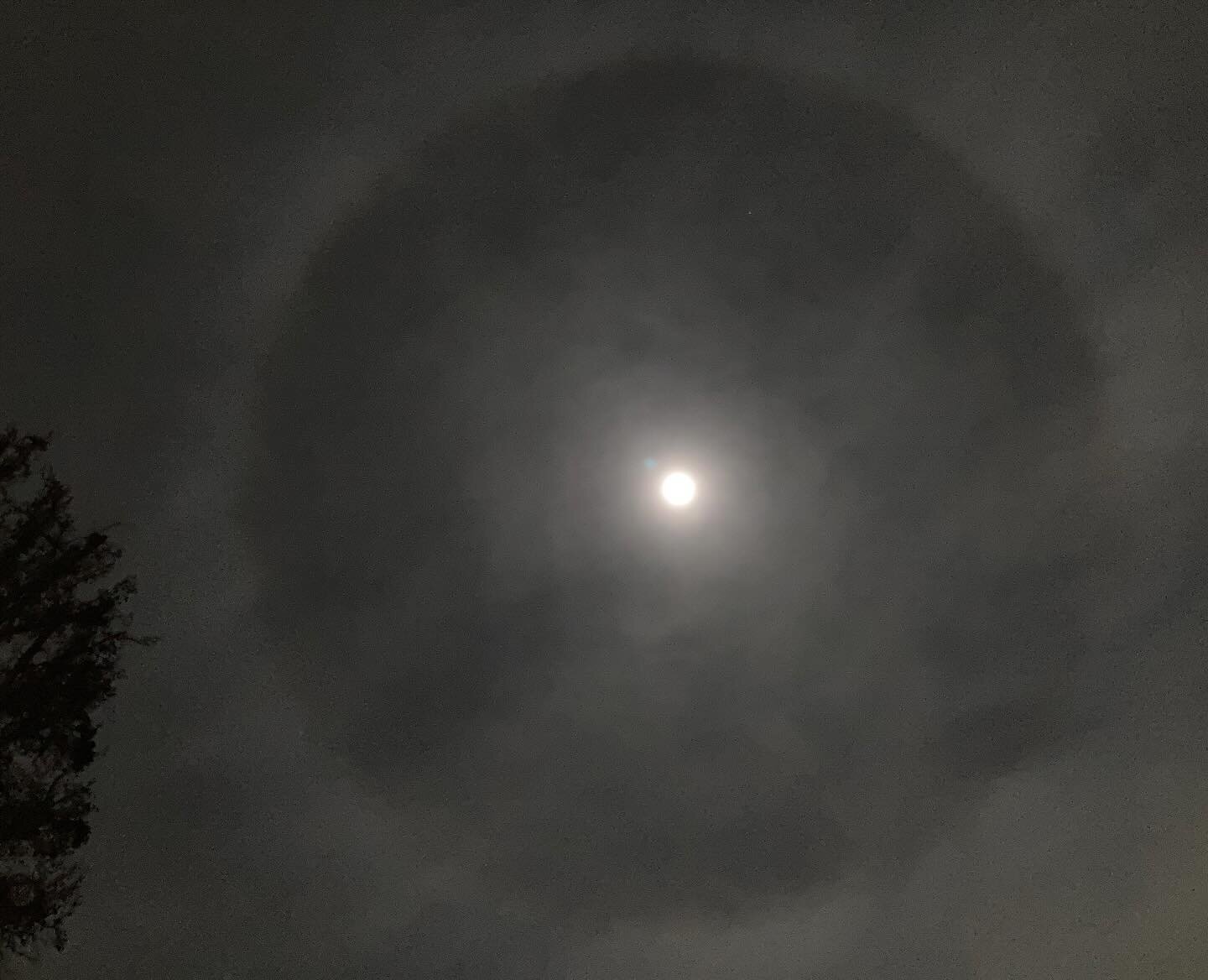 In awe of this huge ring around the moon tonight. Tree for scale. #moonmagic #nightsky #fullmoon #snowmoon #nofilter