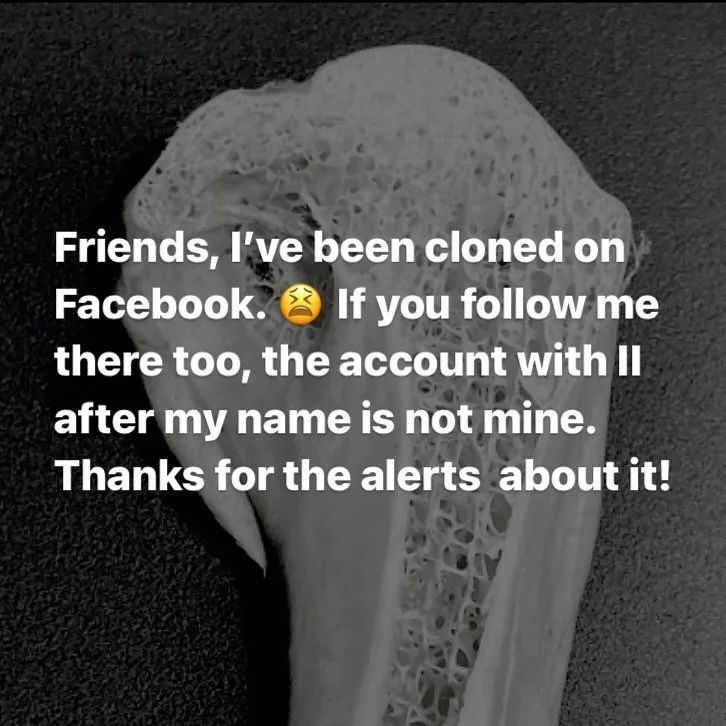 Friends, I&rsquo;ve been cloned on Facebook. 😫 If you follow me there too, the account Nancy Jo Haselbacher  II  is not mine. Working on getting it deleted. Thanks for the alerts about it!