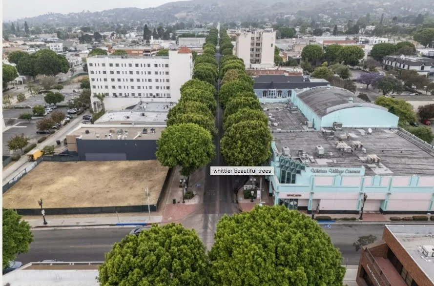 Screen Shot 2024-07-05 at 2.52.45 PM.jpg