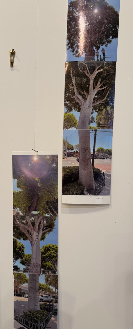 Screen Shot 2026-01-04 at 9.15.03 AM.png