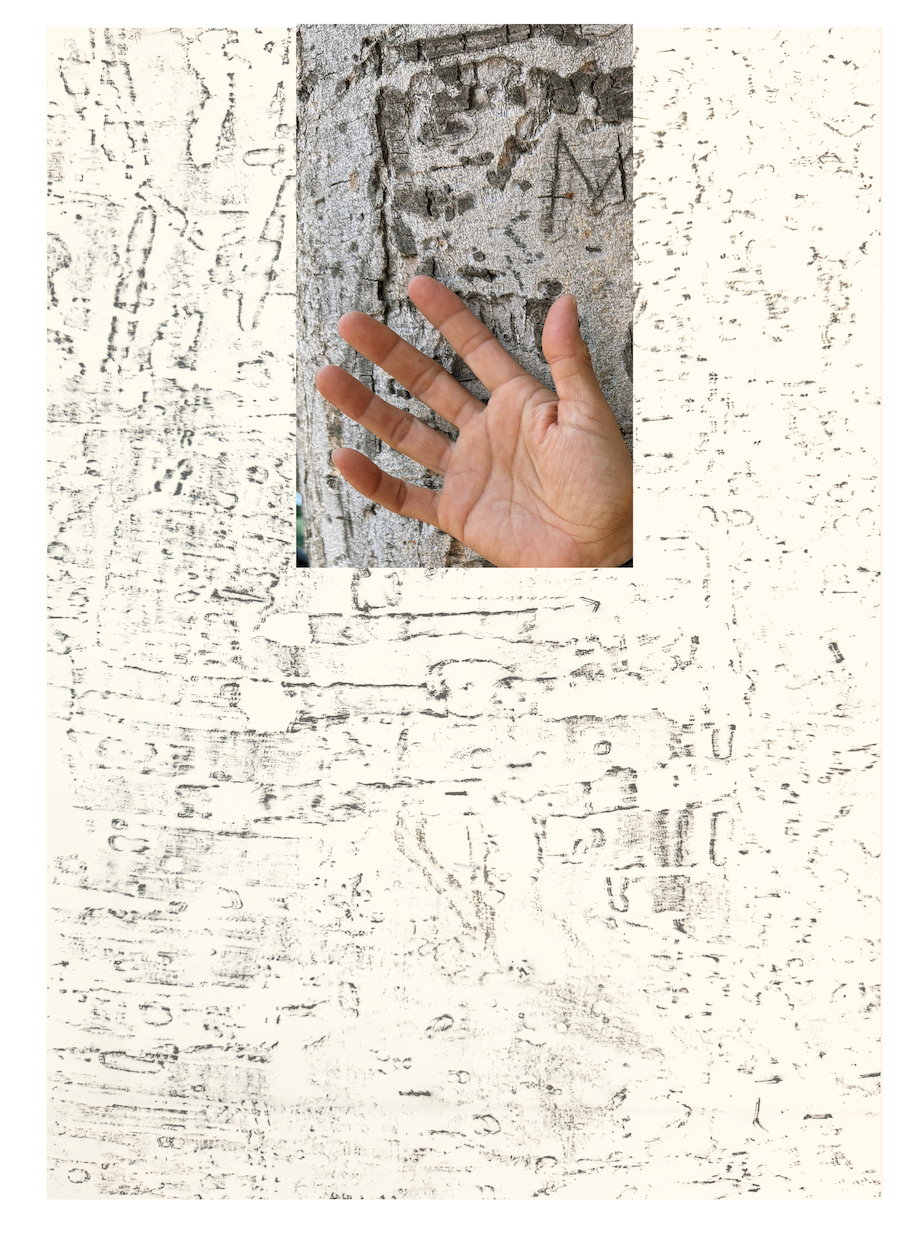 Screen Shot 2025-12-20 at 9.24.33 AM.png