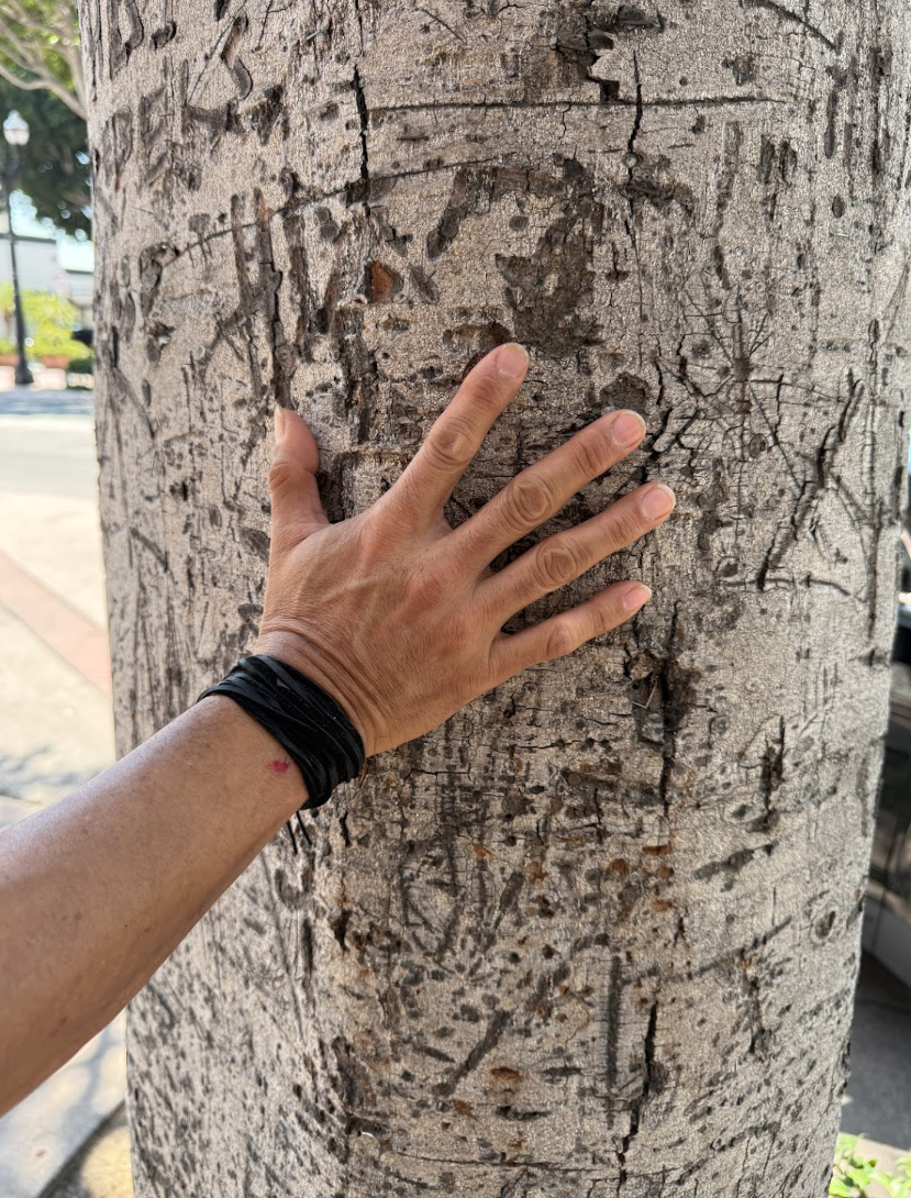 Screen Shot 2026-01-04 at 9.18.49 AM.png