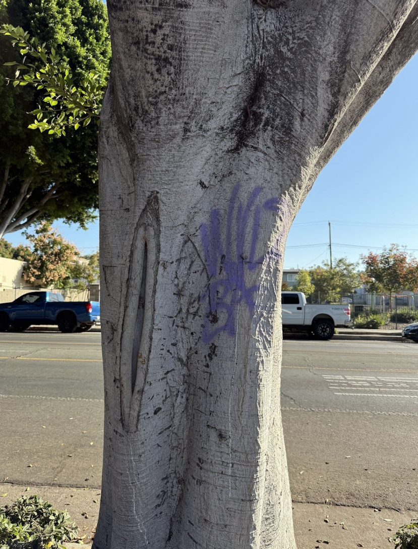 Screen Shot 2026-01-04 at 9.21.59 AM.png