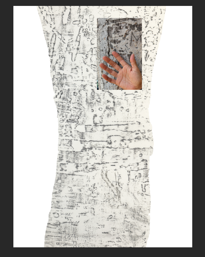 Screen Shot 2025-07-17 at 4.10.52 PM.png