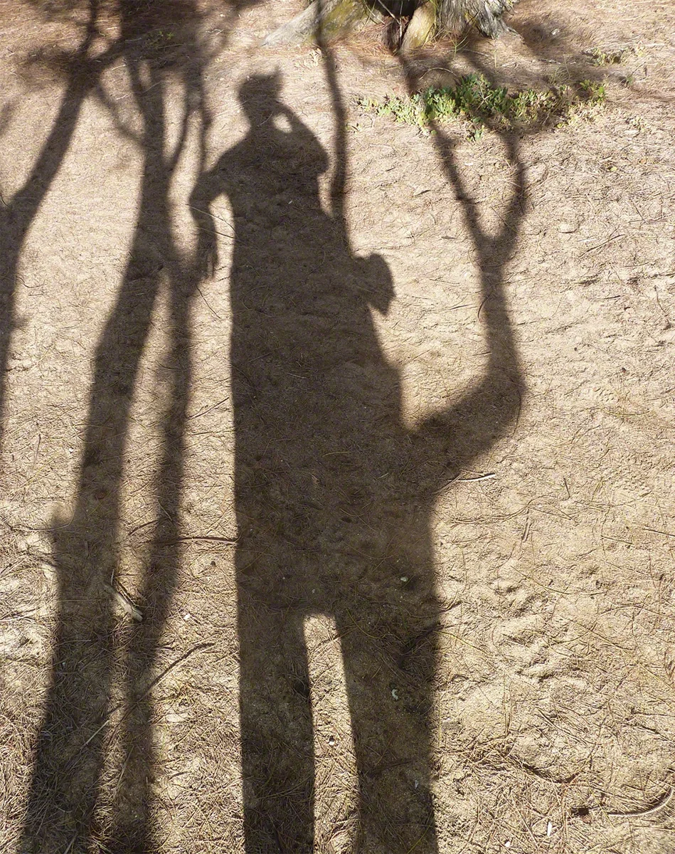 Faun