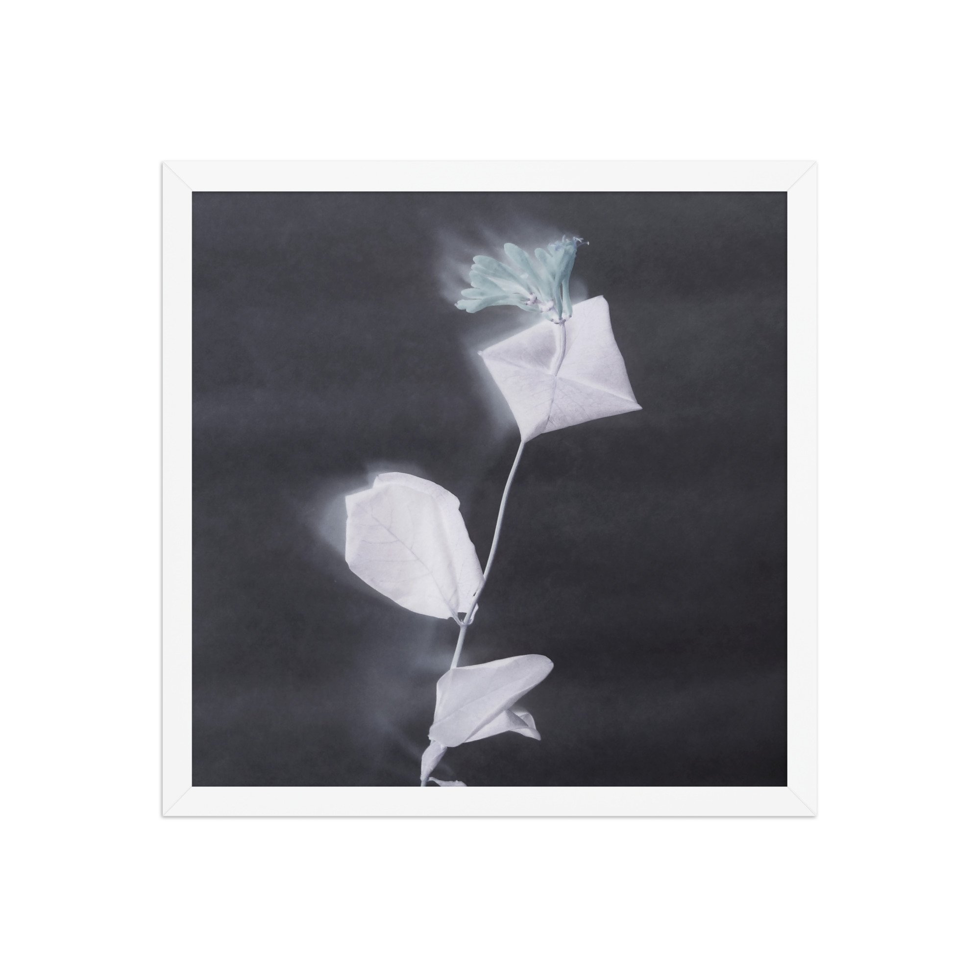 enhanced-matte-paper-framed-poster-(in)-white-16x16-front-6a58291ce051f.jpg