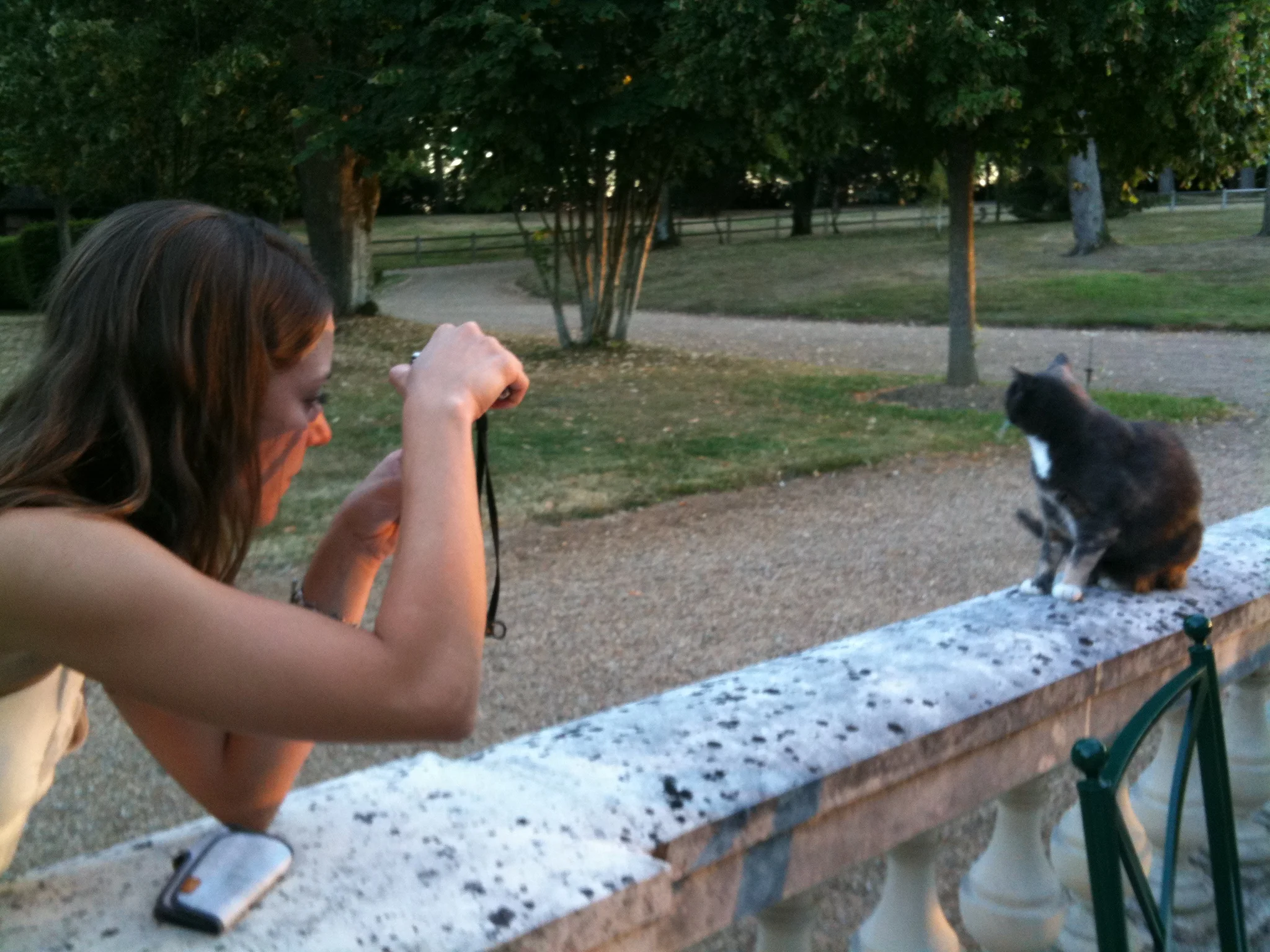 La Roche D'Ambille, Nouzilly, France