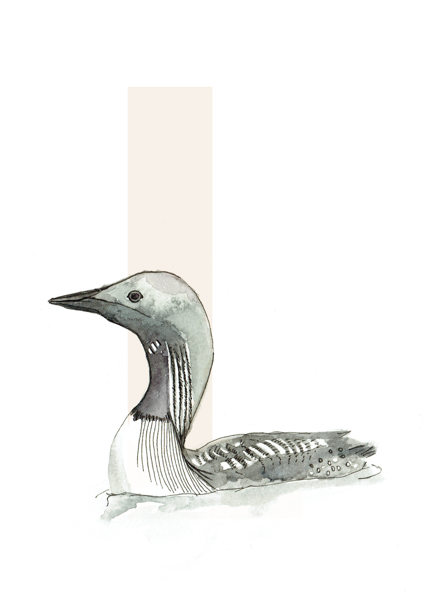 L is for Loon