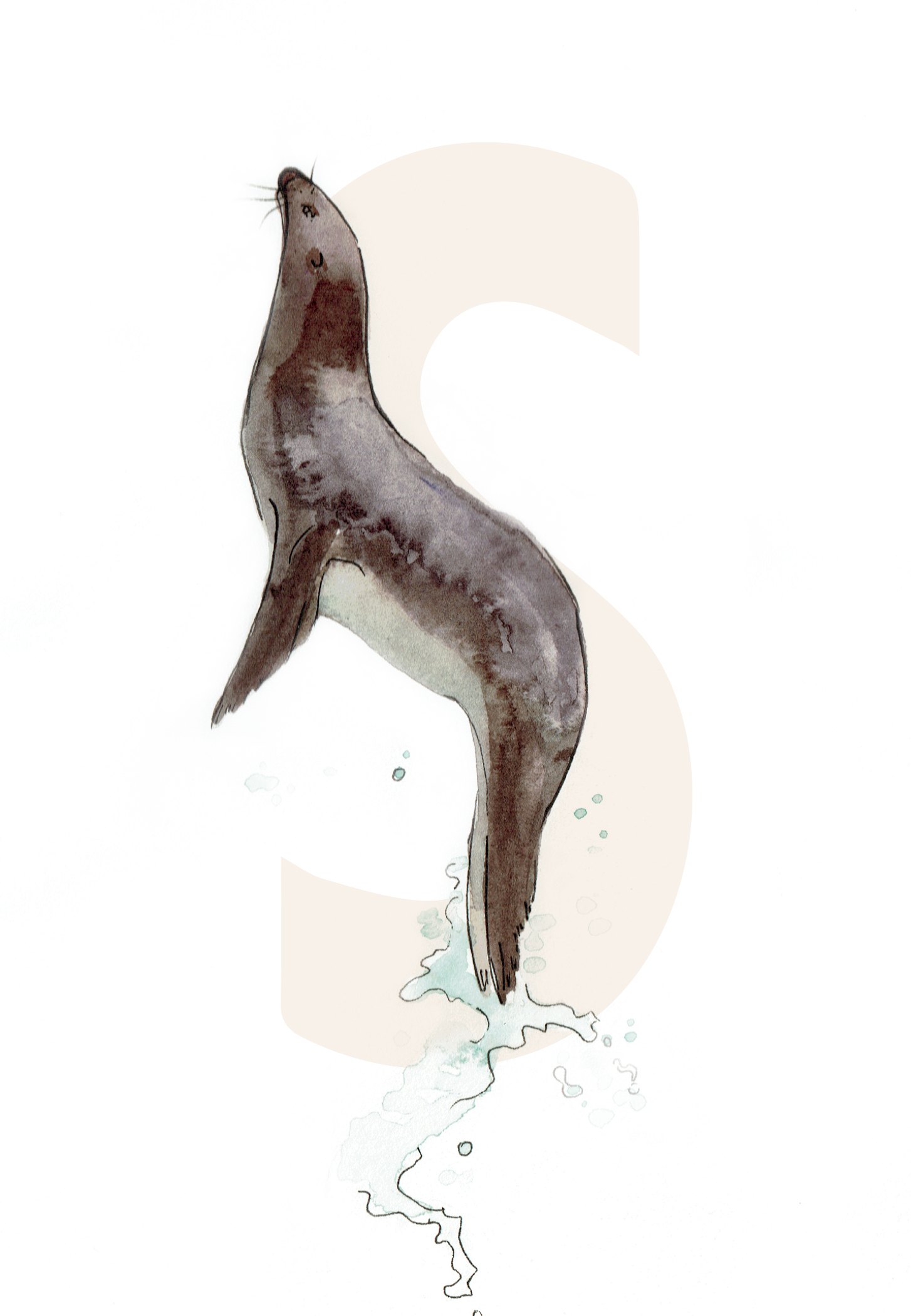 S is for Seal