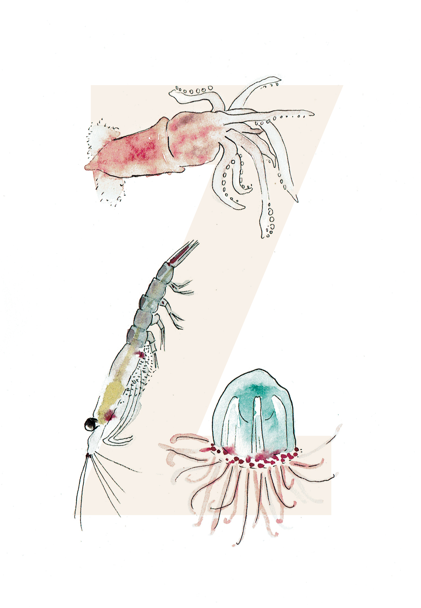 Z is for Zooplankton