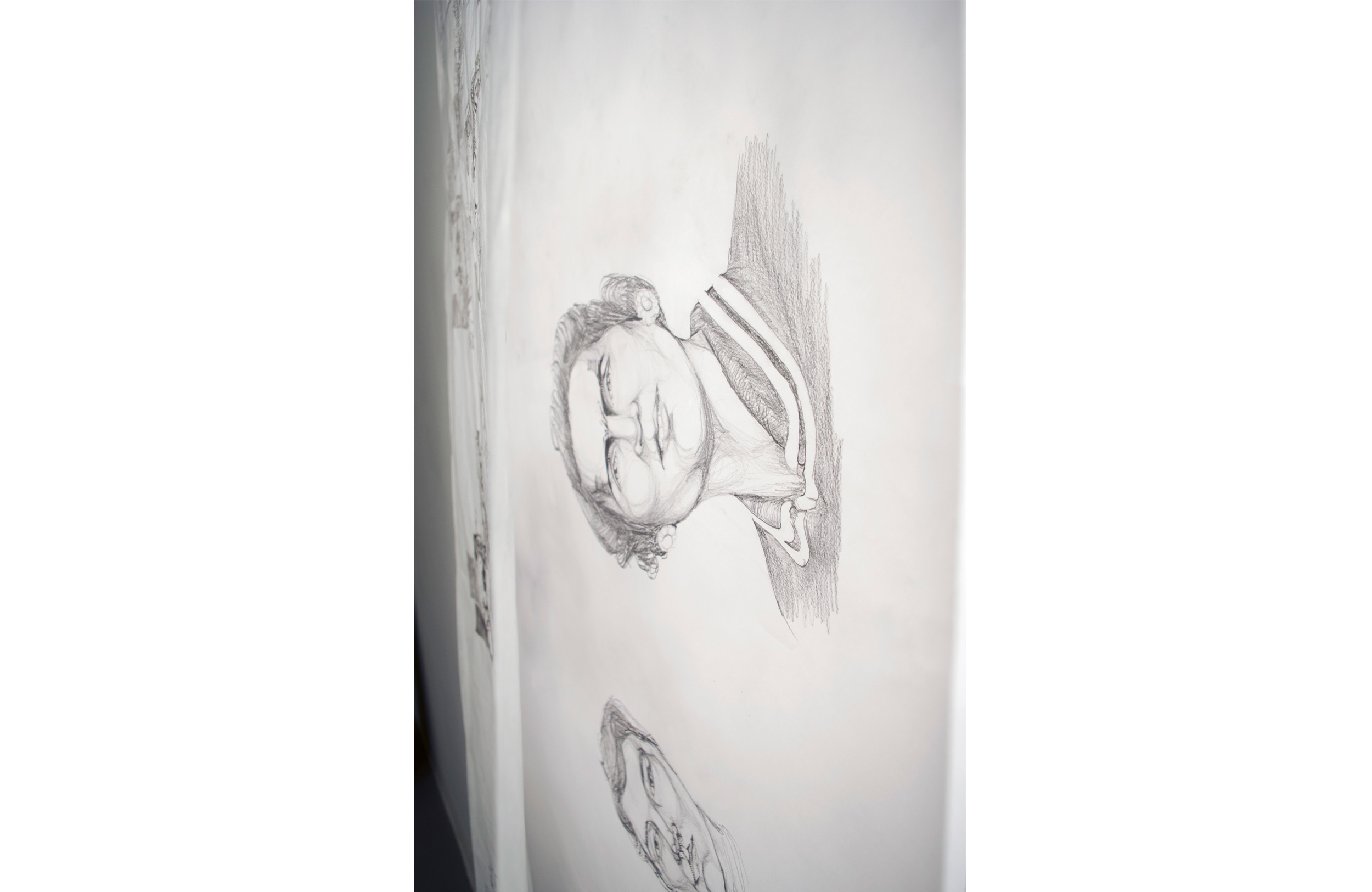  Two rolls of paper hang from above, with prints on the transparent layer and pencil drawings beneath. 