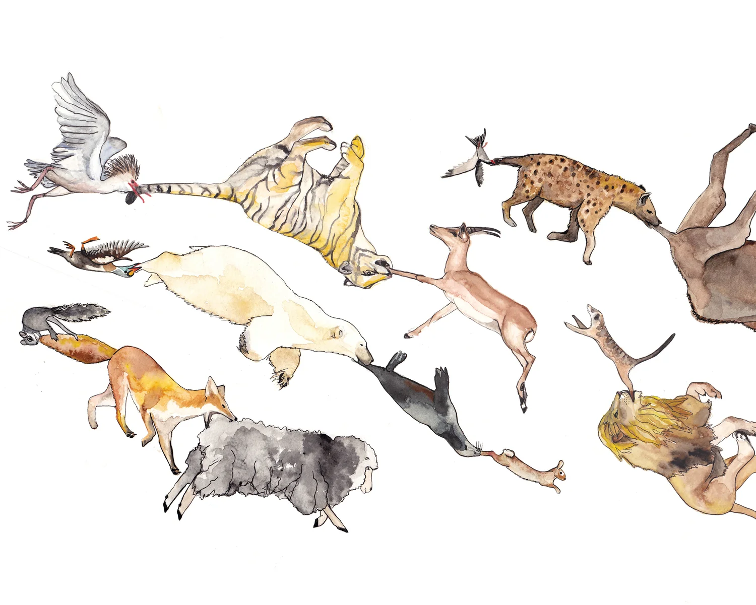 cover_animals5.jpg
