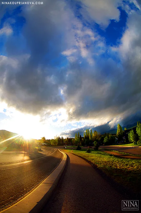 Daily Apocalypse in the PNW