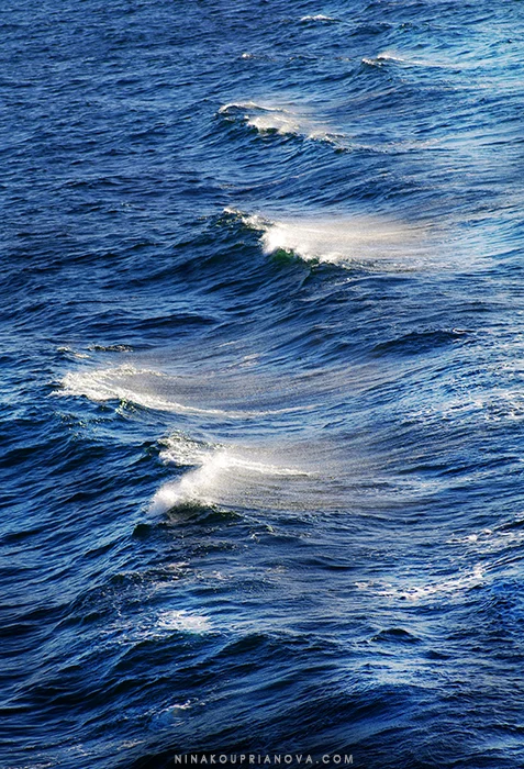 waves cph 1 cropped 700 px with url.jpg