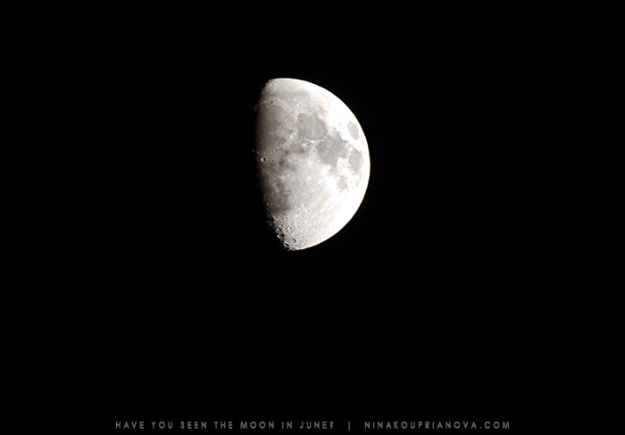june moon bulb cropped 700 px with url.jpg