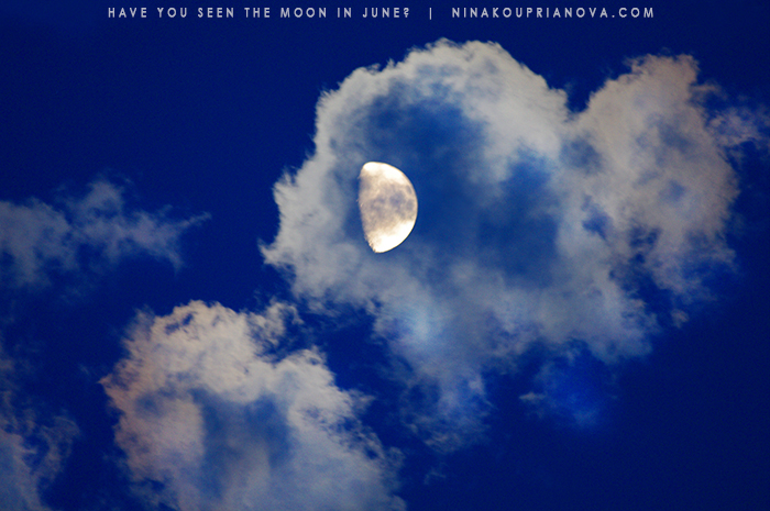 june moon 2 700 px with url.jpg