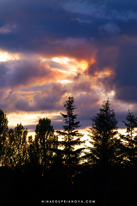 supermoon sunset 2 700 px with url.jpg