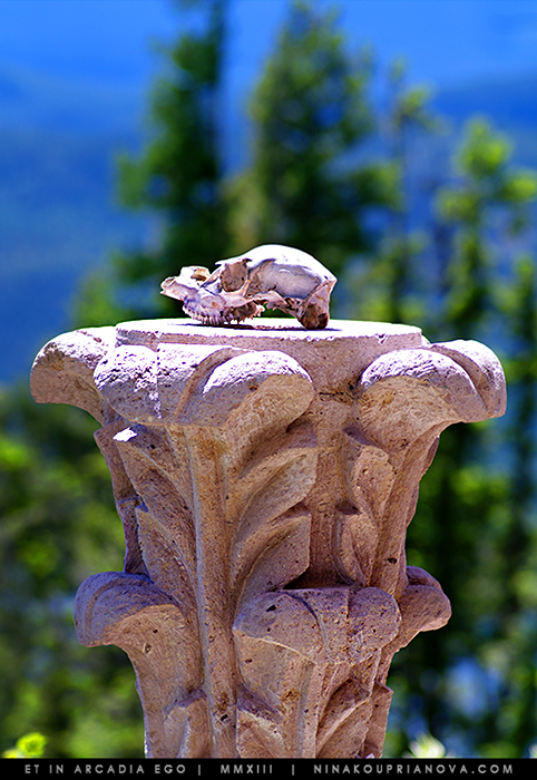 vase 2 cropped 700 px with url.jpg