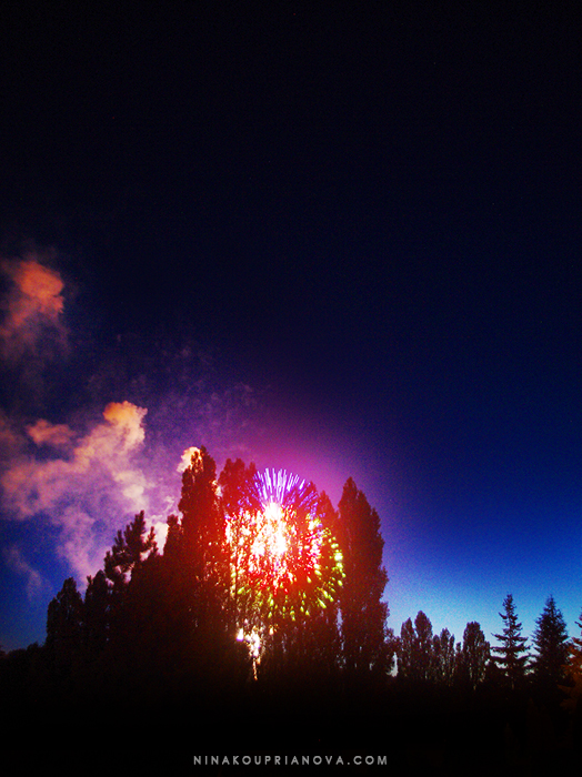 fireworks finale 3 700 px with url.jpg