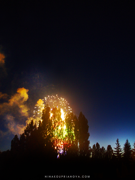 fireworks finale 2 700 px with url.jpg