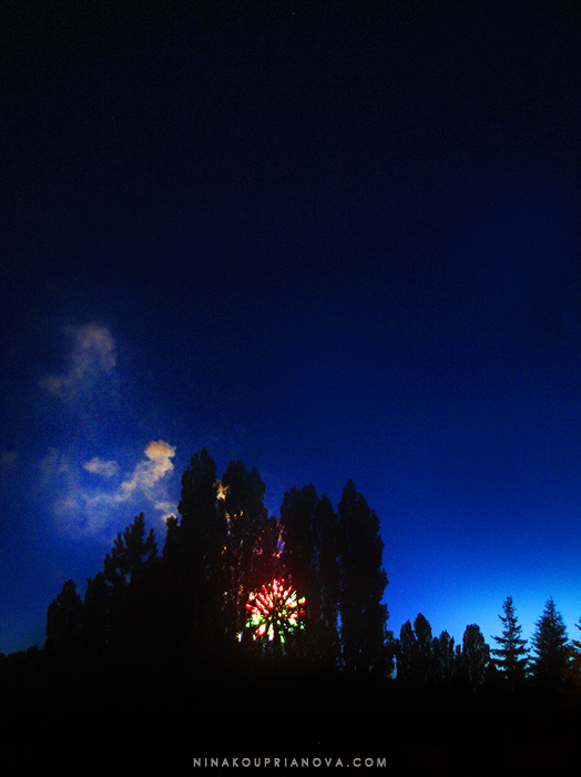 fireworks 4 700 px with url.jpg