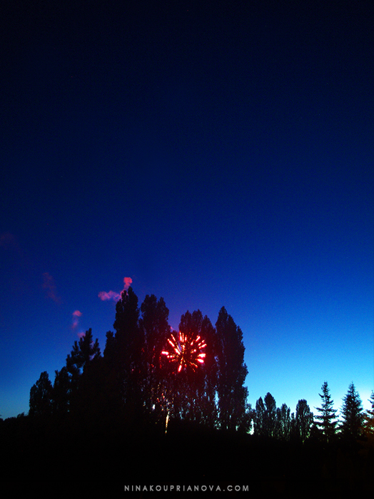 fireworks 5 700 px with url.jpg