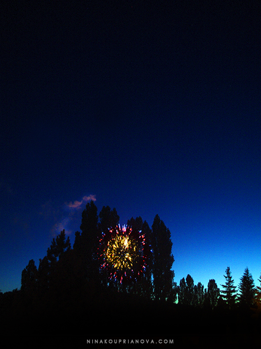 fireworks 11 700 px with url.jpg