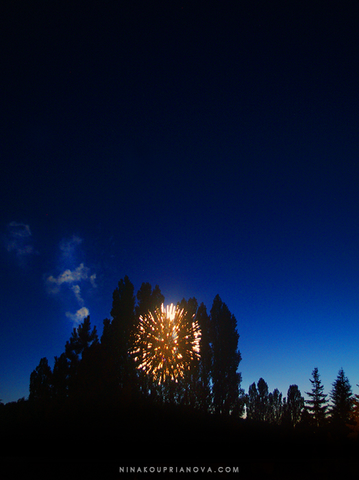 fireworks 6 700 px with url.jpg