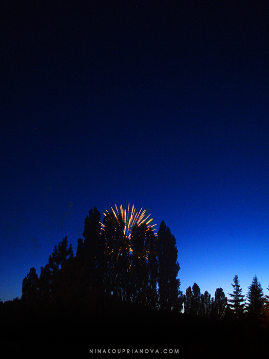 fireworks 9 700 px with url.jpg